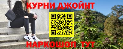 сатива Коммунар