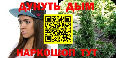 сатива Коммунар