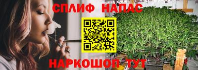 сатива Коммунар