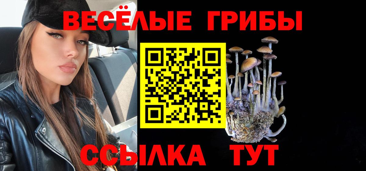 Галлюциногенные грибы мухоморы Электросталь